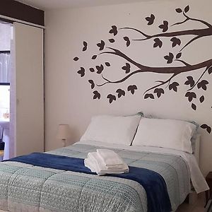 Habitación con Cama King